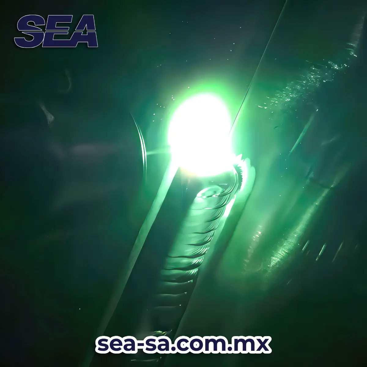 aplicacion ewm react en mexico