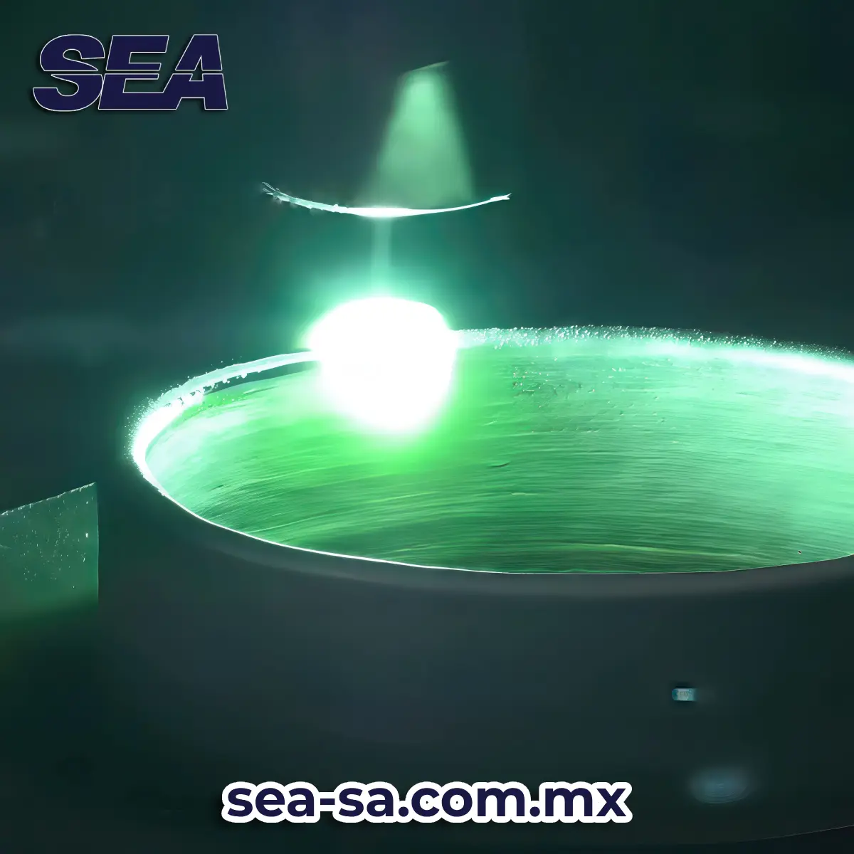 proceso ewm react para industria en mexico