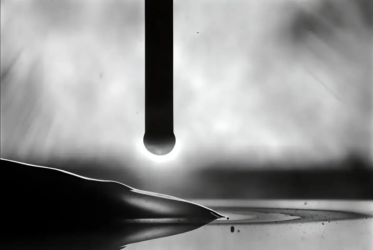 proceso de aplicacion ewm react paso 1