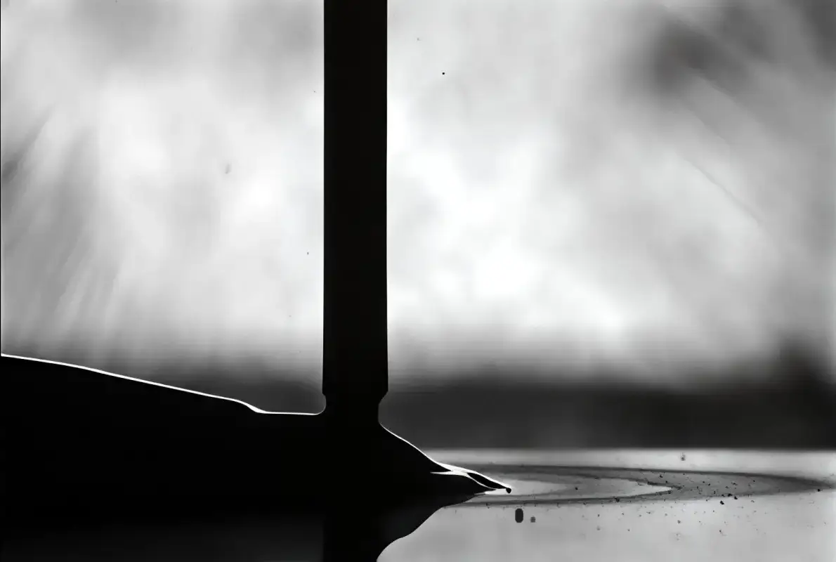 proceso de aplicacion ewm react paso 2