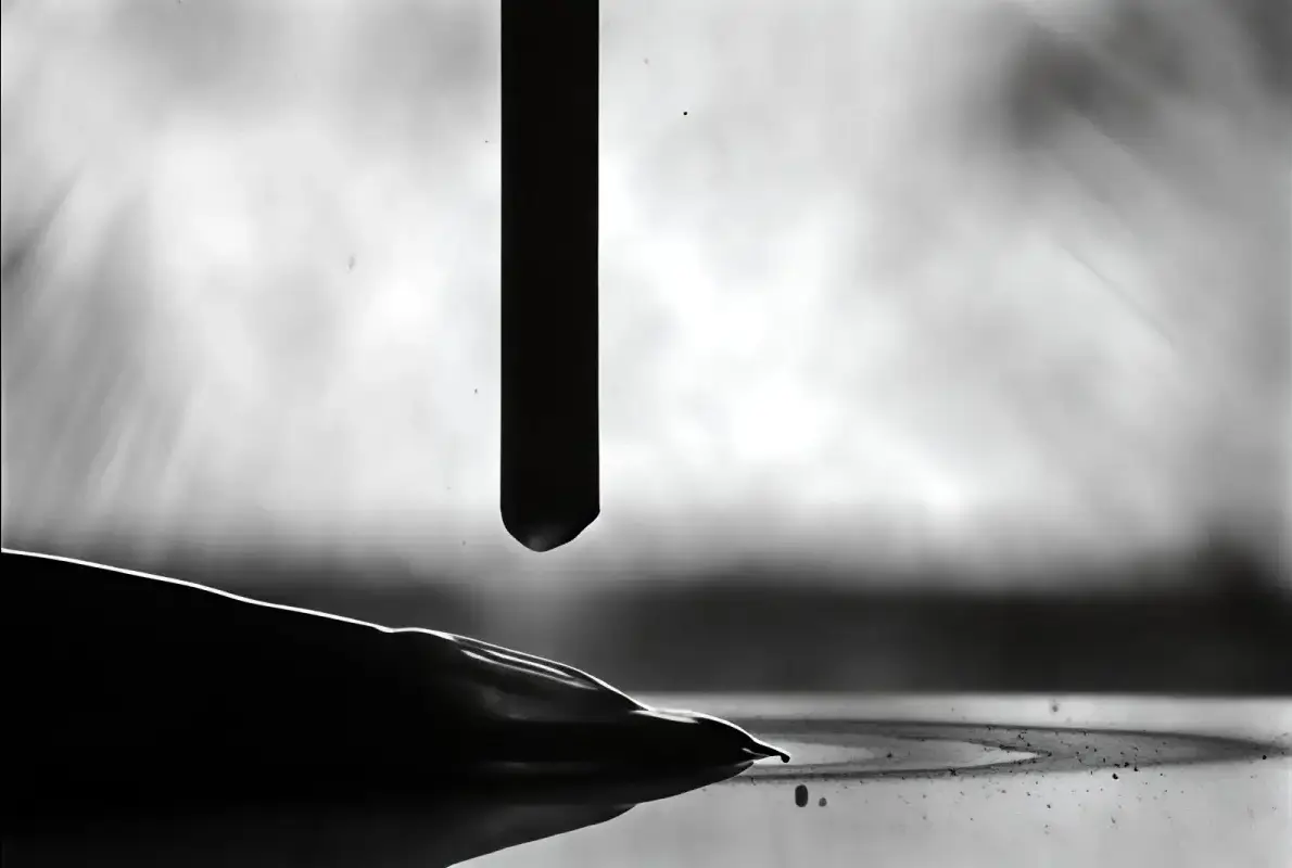 proceso de aplicacion ewm react paso 3